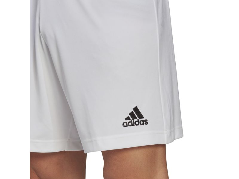 Pantalonetas adidas 2025 hombre medellin