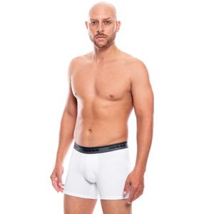Boxer Básico
