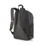 MORRAL-PUMA-N-A-079136-01