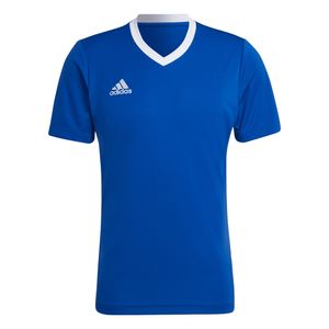 CAMISETA ADIDAS HOMBRE HG6283 AZUL