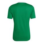 CAMISETA-ADIDAS-HI2123