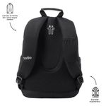 MORRAL-TOTTO-ACUARELA