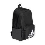 MORRAL-ADIDAS-HG0349