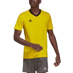 CAMISETA ADIDAS HOMBRE HI2122 AMARILLO