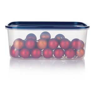 Caja Organizadora Plus 8L