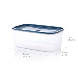 Caja Organizadora Plus 8L