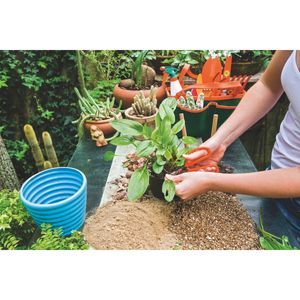 Tijera para Frutas Tramontina con Láminas de Acero Inoxidable