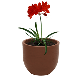 Maceta Tramontina Laos en Polietileno Marrón 28 cm