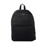 MORRAL-TOTTO-PALENCIA
