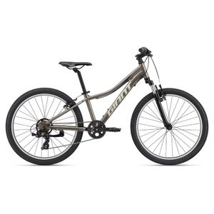 Bicicleta Giant XTC Jr 24 23