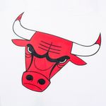 CAMISETA-FEXPRO-HOMBRE-NBAJS552201-WHT2