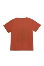image-1f809961bd844187be57e5d50e458d2d