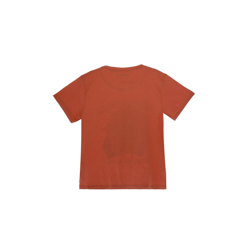 image-1f809961bd844187be57e5d50e458d2d