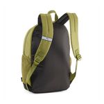 MORRAL-PUMA-079136-16