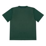 CAMISETA-REEBOK-HOMBRE-APPTR003-VERDE