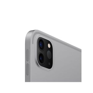 iPad Pro 12,9"  256GB -  Gris Espacial