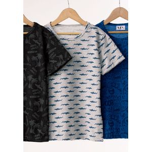 Camiseta Infantil Masculino Gris Mp 386