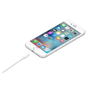 Cable Apple USB a Lightning 1m