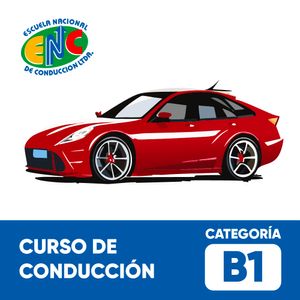Curso de Conducción Categoría B1