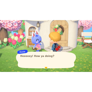Animal Crossing New Horizons Nintendo