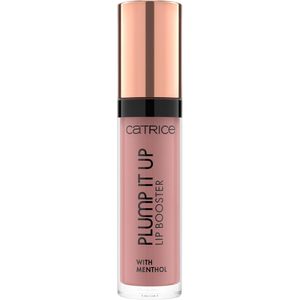 Labial Catrice Plump It Up 3.5gr
