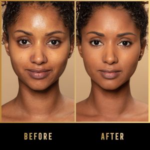 Base Max Factor Facefinity