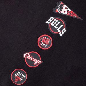 SUDADERA NBA CHICAGO BULLS HOMBRE NBAPT524103-BK2