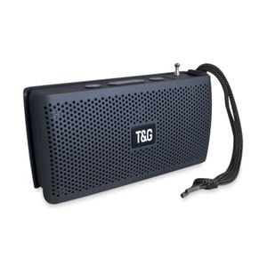 Radio Parlante Inalambrico Blueetoth FM TG 282 Azul