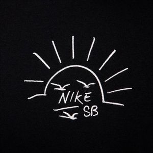 CAMISETA NIKE HOMBRE FZ5281-010