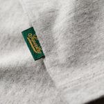 image-8968209954f940229b0a240e6a6f6c22