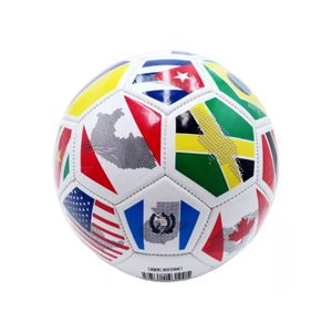 Balón de Fútbol Recreacional Copa América 2024 No.5