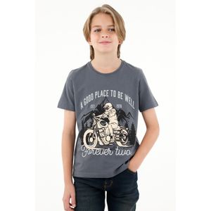 Camiseta gris estampada para niño