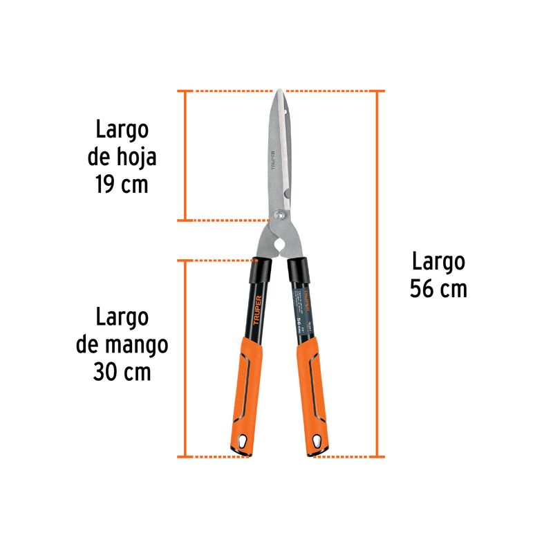 image-20633cd80fec4cdc998d119881139ff8