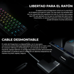 image-53ae8b5bce4d430a917e1f45fbe4a583