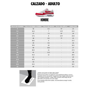 Tenis Nike Hombre Promina FV5285-300