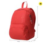 MORRAL-TOTTO-GAMMATTO