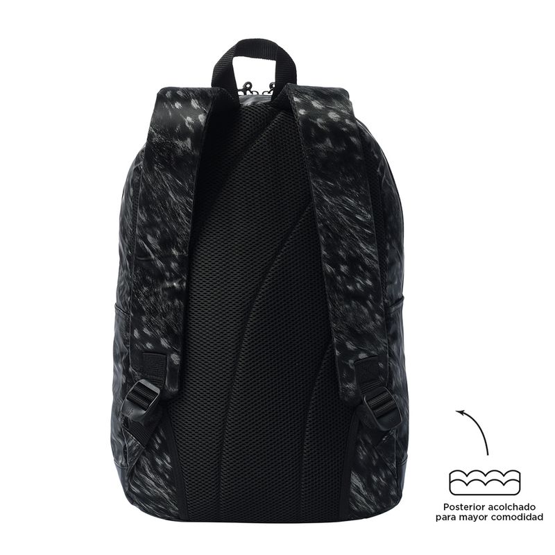 MORRAL-TOTTO-TOCAX