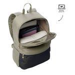 MORRAL-TOTTO-DRAGONAR-2.0