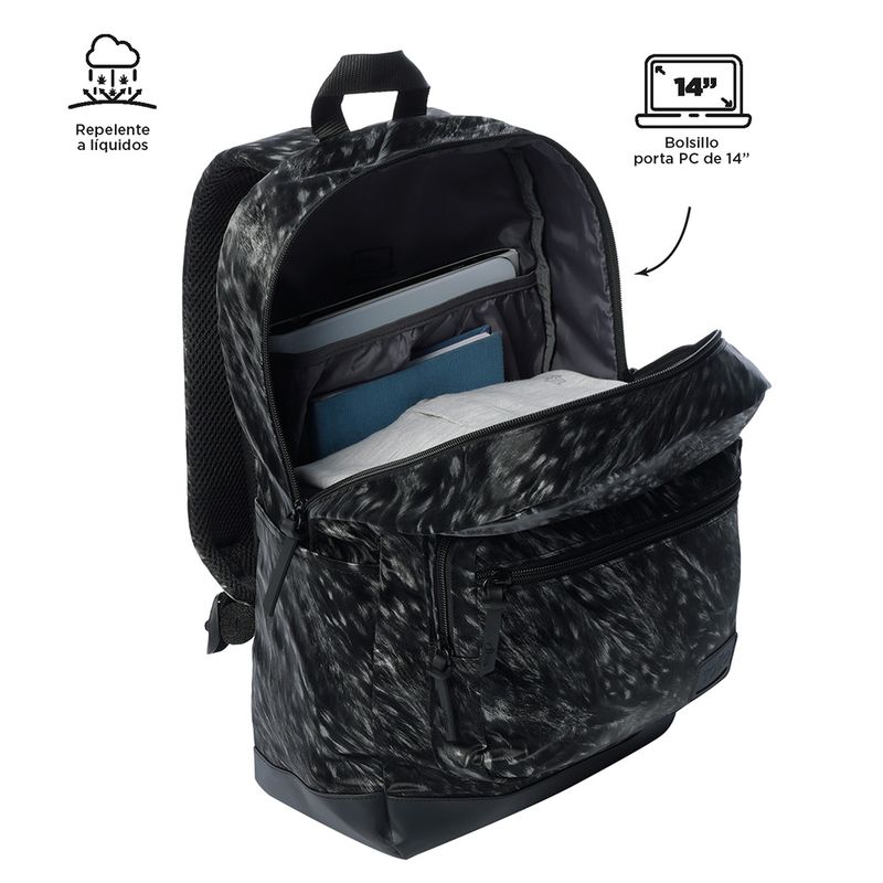 MORRAL-TOTTO-TOCAX