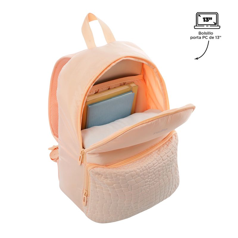 MORRAL-TOTTO-PALENCIA