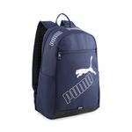 MORRAL-PUMA-079952-02