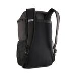 MORRAL-PUMA-090801-01