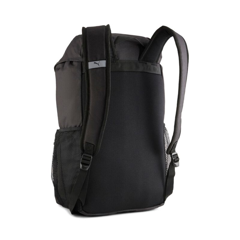 MORRAL-PUMA-090801-01