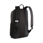 MORRAL-PUMA-090712-01