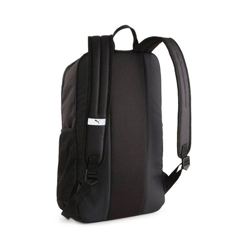 MORRAL-PUMA-090712-01