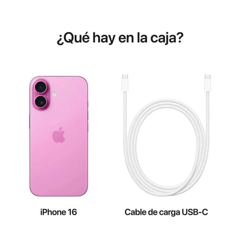 image-0c77ba43c5be448a87f6c4857ee3e44e