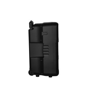 Amplificador VTA 30W Trolley + Micrófono