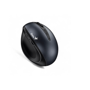 Mouse Genius Ergo 8300S GRIS