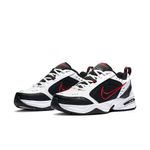 TENIS-NIKE-HOMBRE-415445-101-MONARCH