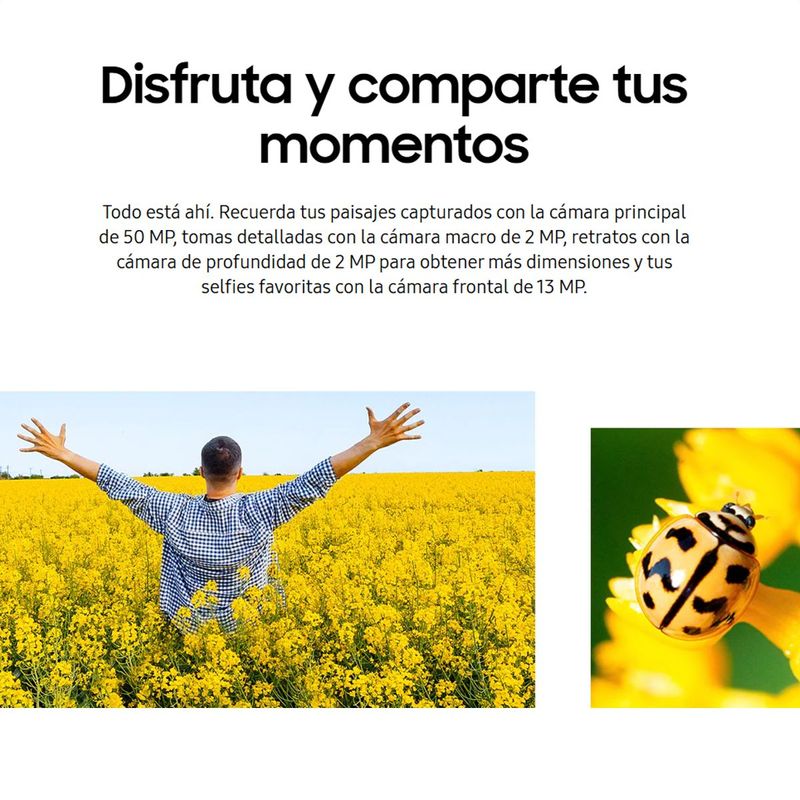 image-8506de881b9f4a6cb105b614ca8246ae